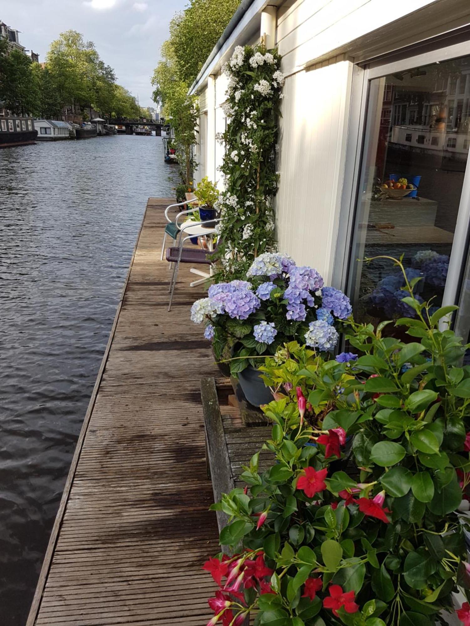 Pantheos Top Houseboat أمستردام المظهر الخارجي الصورة